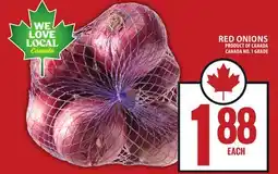 Food Basics RED ONIONS offer