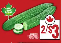 Food Basics SEEDLESS CUCUMBERS offer