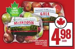 Food Basics ONTARIO APPLES offer