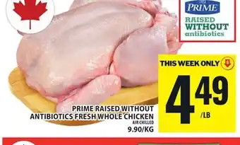 Food Basics PRIME RAISED WITHOUT ANTIBIOTICS FRESH WHOLE CHICKEN offer