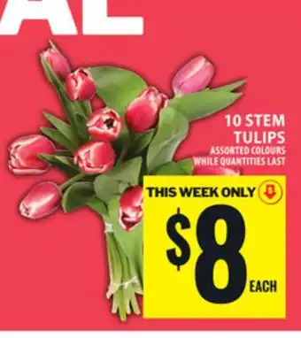 Food Basics 10 STEM TULIPS offer