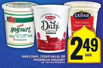 Food Basics HANS DAHI, CEDAR HALAL OR PHOENICIA YOGOURT offer