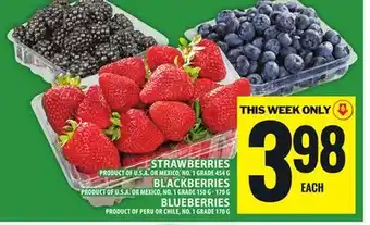 Food Basics STRAWBERRIES 454 g, BLACKBERRIES 150 g - 170 g, BLUEBERRIES 170 g offer