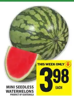 Food Basics MINI SEEDLESS WATERMELONS offer