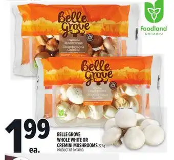 Metro BELLE GROVE WHOLE WHITE OR CREMINI MUSHROOMS 227 G offer