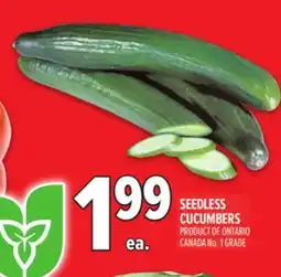 Metro SEEDLESS CUCUMBERS offer