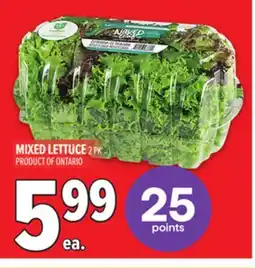 Metro MIXED LETTUCE offer