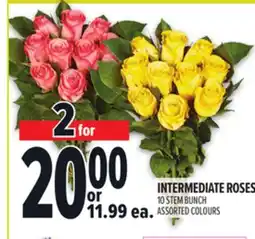 Metro INTERMEDIATE ROSES offer