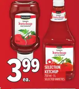 Metro SELECTION KETCHUP offer