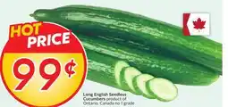 Sobeys Long English Seedless Cucumbers offer