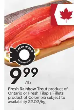 Sobeys Fresh Rainbow Trout offer