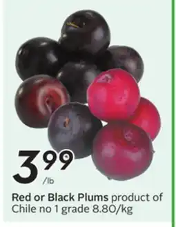 Sobeys Red or Black Plums offer