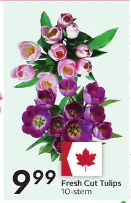 Sobeys Fresh Cut Tulips offer