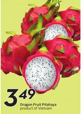 Sobeys Dragon Fruit Pitahaya offer