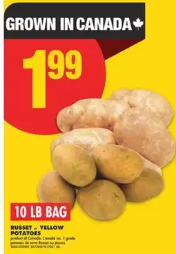 No Frills 10 LB BAG RUSSET or YELLOW POTATOES offer