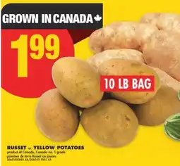 No Frills RUSSET or YELLOW POTATOES offer