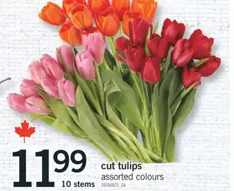 Fortinos CUT TULIPS, 10 STEMS offer