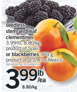 Fortinos SEEDLESS STEM AND LEAF CLEMENTINES OR BLACKBERRIES offer