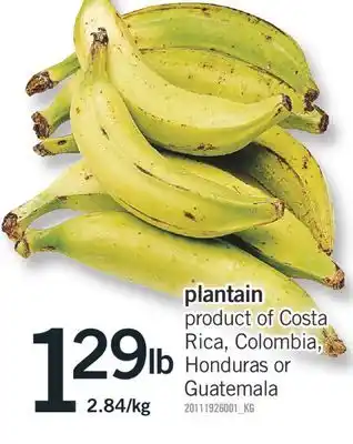 Fortinos PLANTAIN offer