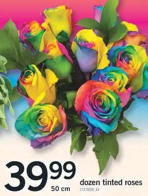 Fortinos DOZEN TINTED ROSES, 50 CM offer