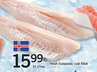 Fortinos FRESH ICELANDIC COD FILLET offer