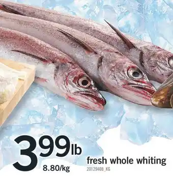 Fortinos FRESH WHOLE WHITING offer