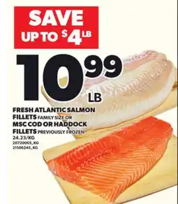 Loblaws FRESH ATLANTIC SALMON FILLETS FAMILY SIZE OR MSC COD OR HADDOCK FILLETS offer