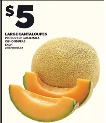 Loblaws LARGE CANTALOUPES, EACH offer