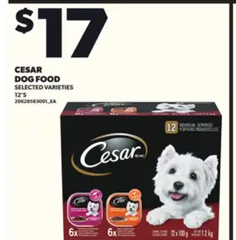 Loblaws CESAR DOG FOOD 12'S offer