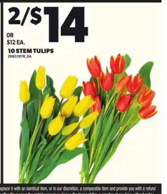 Loblaws 10 STEM TULIPS offer