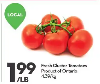 Longo's Fresh Cluster Tomatoes offer