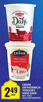 Food Basics CEDAR OR PHOENICIA OR PHOENICIA YOGOURT, HANS DAHI offer