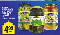 Food Basics CEDAR MARINADES, CUCUMBERS OR GRAPE LEAVES offer