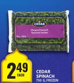 Food Basics CEDAR SPINACH offer