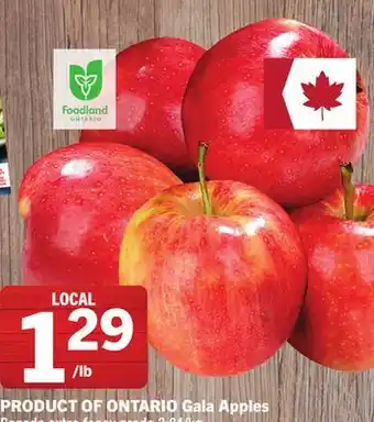 Foodland Gala Apples offer