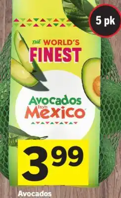 Foodland Avocados offer