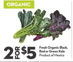 Longo's Fresh Organic Black, Red or Green Kale offer