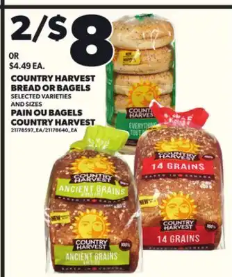 Independent Grocer COUNTRY HARVEST BREAD OR BAGELS offer