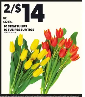 Independent Grocer 10 STEM TULIPS offer