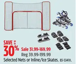 Canadian Tire WinnWell Selected Nets or Inline/Ice Skates offer