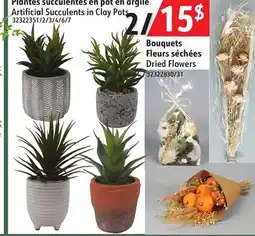 Hart Artificial Succulents in Clay Pots offer