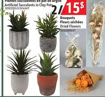 Hart Artificial Succulents in Clay Pots offer