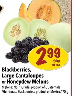 Farm Boy Blackberries, Large Cantaloupes or Honeydew Melons offer