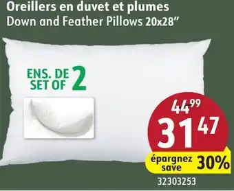 Hart Down and Feather Pillows 20x28 offer