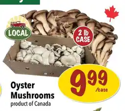 Farm Boy Oyster Mushrooms offer