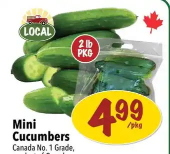 Farm Boy Mini Cucumbers offer