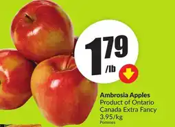 Chalo FreshCo Ambrosia Apples Product of Ontario Canada Extra Fancy 3.95/kg offer