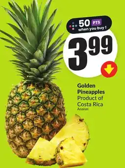 Chalo FreshCo Golden Pineapples Product of Costa Rica offer