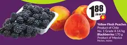 Chalo FreshCo Yellow Flesh Peaches Product of Chile No. 1 Grade 4.14/kg Blackberries 170 g Product of Mexico offer