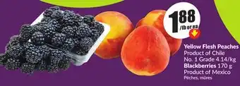 Chalo FreshCo Yellow Flesh Peaches Product of Chile No. 1 Grade 4.14/kg Blackberries 170 g Product of Mexico offer